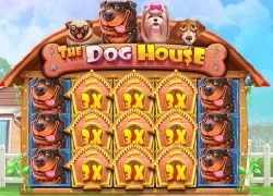 Bally Casino casino GB The Dog House